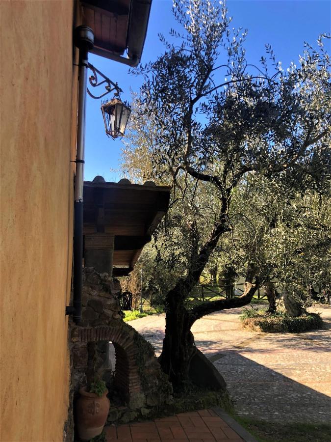 Willa Casale L'Antica Mola Castel Madama Zewnętrze zdjęcie